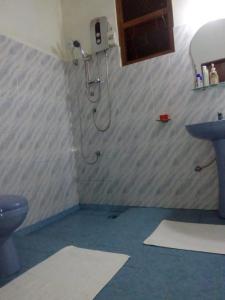 TinniyawalaSinharaja Holiday Bungalow的带淋浴、水槽和卫生间的浴室
