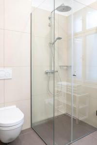 维也纳Modern 3 room apartment in a prime location的带卫生间的浴室内的玻璃淋浴间