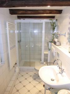 布兰肯海姆Haus-Hoeppches的带淋浴和盥洗盆的浴室