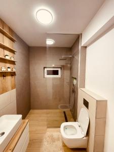 弗洛雷什蒂A&Y APARTAMENT的一间带卫生间和水槽的浴室