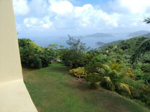 Tortola IslandAbigail's Sunflower Entire 2 Bedroom Apt的海景花园