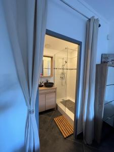 马赛Suite parentale indépendante的带淋浴和浴帘的浴室