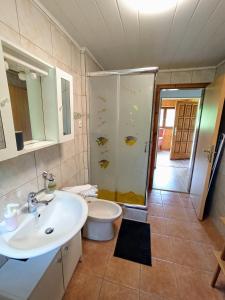 Donja StubicaKuća za odmor Žabina hiža的一间带水槽、淋浴和卫生间的浴室