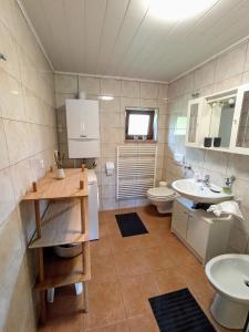 Donja StubicaKuća za odmor Žabina hiža的一间带水槽和卫生间的浴室