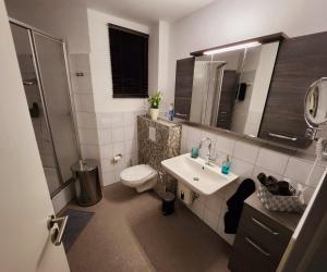 多特蒙德Komfortable Ferienwohnung Auf dem Höchsten的一间带水槽、卫生间和镜子的浴室