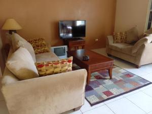 Tortola IslandAbigail's Sunflower Entire 2 Bedroom Apt的客厅配有两张沙发和一台电视机