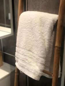 莫雷兹Superbe appartement centre ville proche des pistes的浴室毛巾架上的毛巾