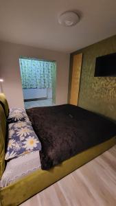 肯普隆格Safta Apartaments的一间卧室设有一张大床和一个窗户。