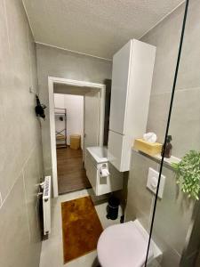 亨厄洛Residentie de Eikhof的一间带卫生间和水槽的小浴室