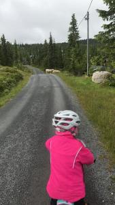 斯朱森Stor familiehytte på Småsætra, Sjusjøen的沿路骑着自行车的小孩