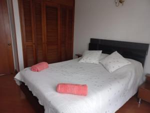 波哥大APARTA-HOTEL BADEN的卧室配有白色的床和两个枕头