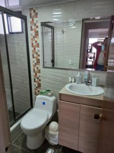 波哥大APARTA-HOTEL BADEN的一间带卫生间、水槽和镜子的浴室