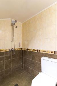 大特尔诺沃Luxury Studio for 3 persons, near Carevec, Veliko Tarnovo的带淋浴和卫生间的浴室