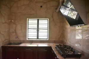 博尔普尔Abode of Peace的厨房配有炉灶、水槽和窗户。