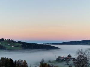 米森-维尔哈姆斯Allgäuer Ausblick的享有带前方房屋的雾 ⁇ 山谷的景致