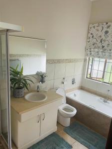 香槟谷Champagne Properties, Porterfield Estate的浴室配有盥洗盆、卫生间和浴缸。