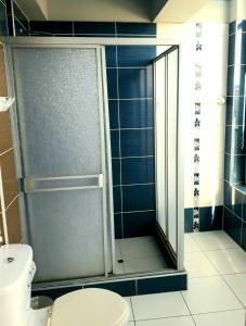 塔克纳Tesoro Suite的一间带卫生间和玻璃淋浴间的浴室