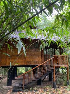 瓦亚纳德Uravu Bamboo Grove Resort的树林中的树屋,有木楼梯