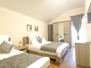 巴库里阿尼Villa Mtashi的酒店客房,设有两张床和镜子