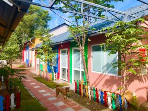 富国Colorful Home Stay Phú Quốc的一只狗站在五彩缤纷的房子前