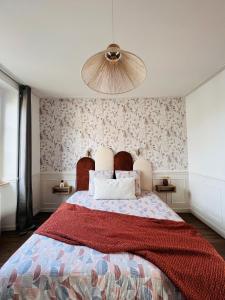 欧塞尔Charmant appartement plein centre ville - parking privé的一间卧室配有一张带红色毯子的大床