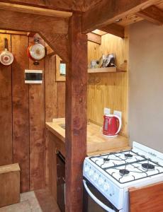圣卡洛斯-德巴里洛切Calida Mini Casa的小屋内的厨房配有炉灶烤箱