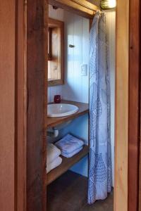 圣卡洛斯-德巴里洛切Calida Mini Casa的一间带水槽和淋浴帘的浴室