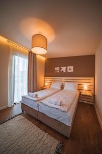 Sînnicolau de MunteTERMAL KRE-SPA的一间卧室设有一张大床和一个大窗户