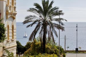 圣凯撒利亚温泉唐诺宫度假屋的一座带帆船的建筑前的棕榈树