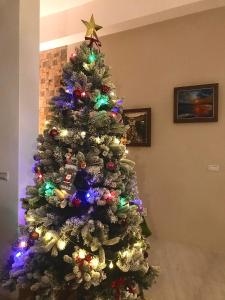 吉安甘澄民宿的圣诞树上灯亮