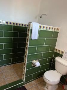 艾克斯卡拉克CASA PARAÍSO的浴室设有卫生间和绿色瓷砖。