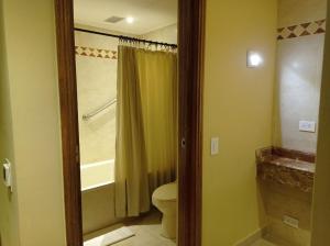 巴兰基亚草原酒店的一间带卫生间和淋浴的浴室