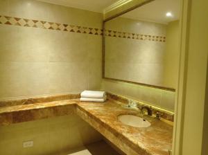 巴兰基亚草原酒店的一间带水槽和镜子的浴室