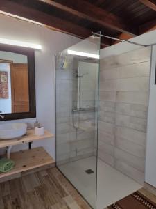 纳萨雷特Habitacion Alunita的一间带玻璃淋浴和水槽的浴室