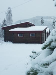 HammarstrandAmmeråns Fiskecamp的雪地小屋,有雪地覆盖的院子