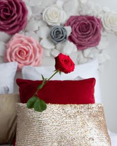 HésingueLa Chambre des Secrets的枕头顶上玫瑰花的花瓶