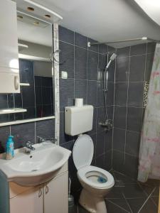 贝尔格莱德K2 Apartment的浴室配有卫生间、盥洗盆和淋浴。