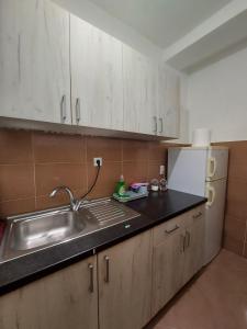 贝尔格莱德K2 Apartment的厨房配有水槽和冰箱