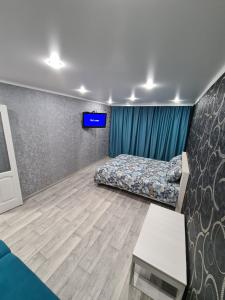 彼得罗巴甫洛夫斯克Однокомнатная квартира в центре Петропавловска的一间卧室配有一张床,墙上配有电视