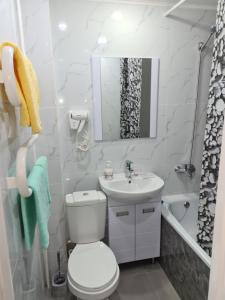 彼得罗巴甫洛夫斯克Однокомнатная квартира в центре Петропавловска的一间带卫生间、水槽和镜子的浴室
