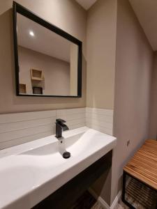 SartMaison typique privée - Sart Lez Spa - PINE COTTAGE- charme piscine的浴室设有白色水槽和镜子
