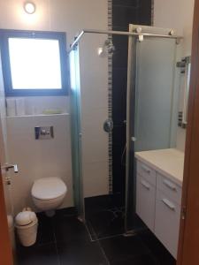 Giv‘at BrennerAdorable 3 bedroom Brenner "Hill" suite的带淋浴、卫生间和盥洗盆的浴室