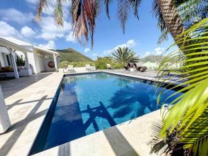 东方湾Villa la Folie Douce, luxury and serenity, Orient Bay的棕榈树屋旁的游泳池