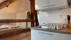 卢布尔雅那Apartments Katrca Ljubljana的厨房配有水槽和台面