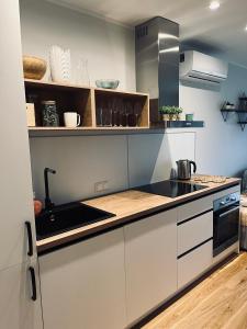 ĶesterciemsAlbatross Beach Apartment - SPA, Sea and Forest的厨房配有水槽和炉灶 顶部烤箱