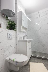布加勒斯特Lion's Unirii Apartment的白色的浴室设有卫生间和水槽。