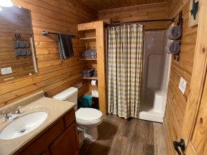 弗雷德里克斯堡Walnut Canyon Cabins的浴室配有卫生间、盥洗盆和淋浴。