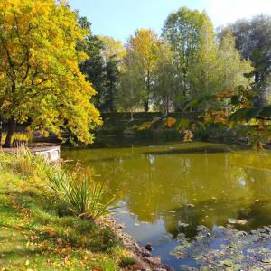 Ferienwohnung H2 am Hainich的公园中央的池塘