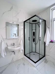 卢布尔雅那Villa Riverside的一间带玻璃淋浴和水槽的浴室