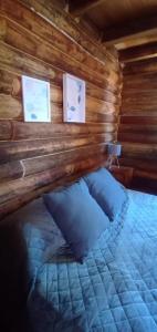 波特雷里约斯WAIKIRI的小木屋内的一张床位,墙上挂有两张照片